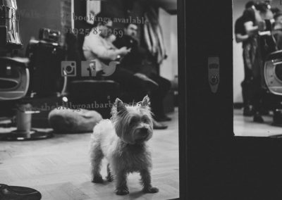 The Billy Goat Barbers, Stockton Heath, Warrington